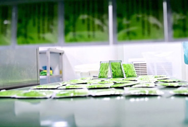 这些药品正加紧生产配送中