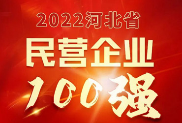 晨光生物入榜2022河北省民营企业100强