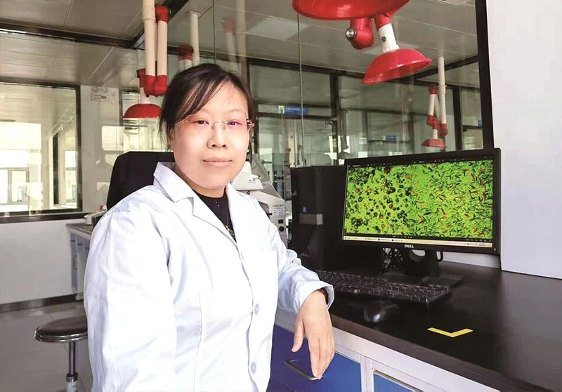 【邯郸晚报】徐美利：十年磨一剑，酿就“甜蜜事业”